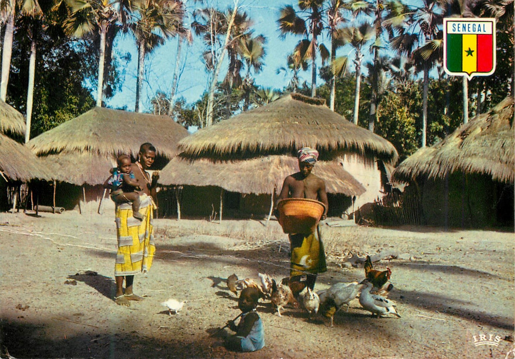 CPM Senegal Casamance Village de Basse-Casamance