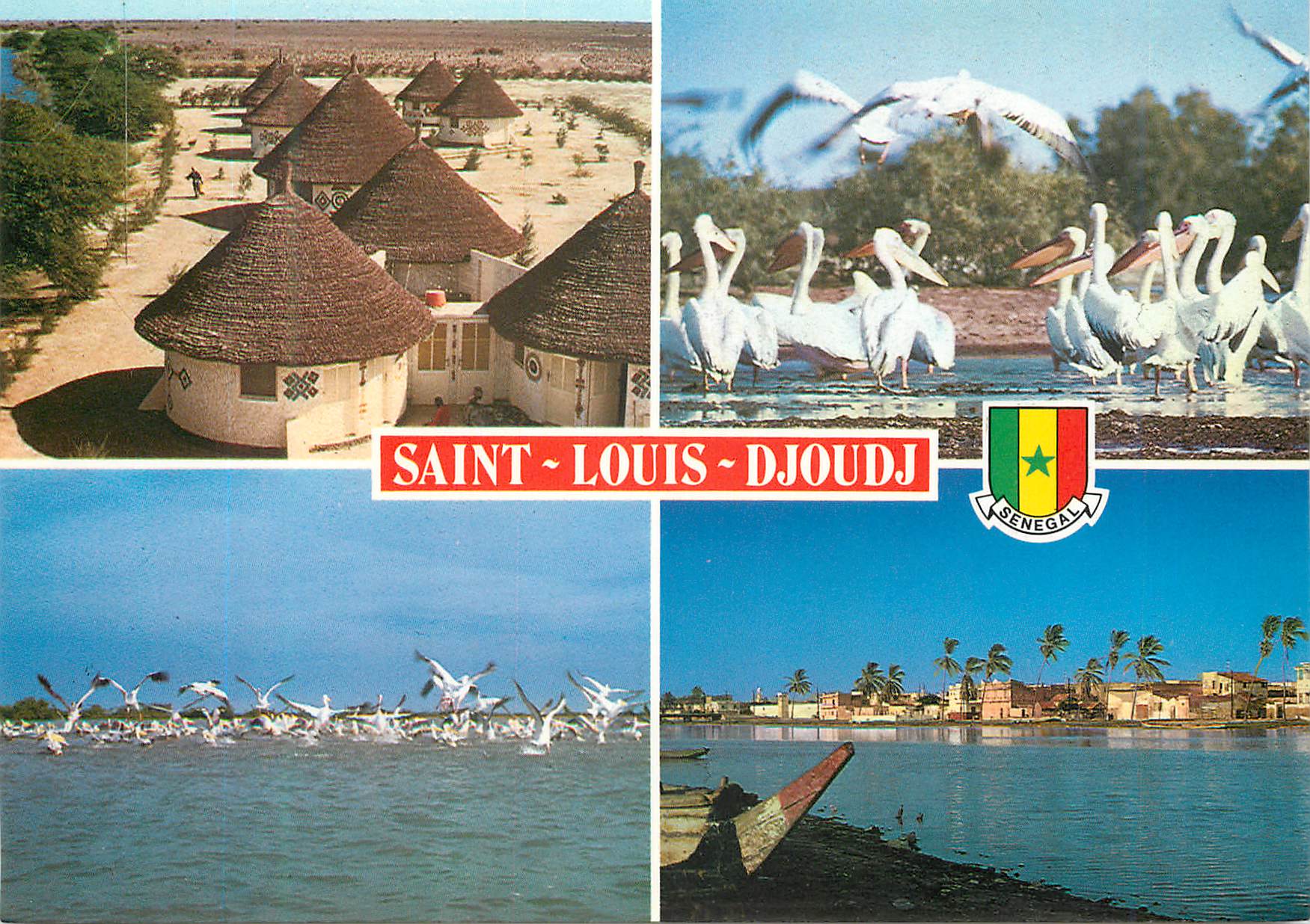 CPM Senegal Ile de Saint-Louis et Parc de Djoudj