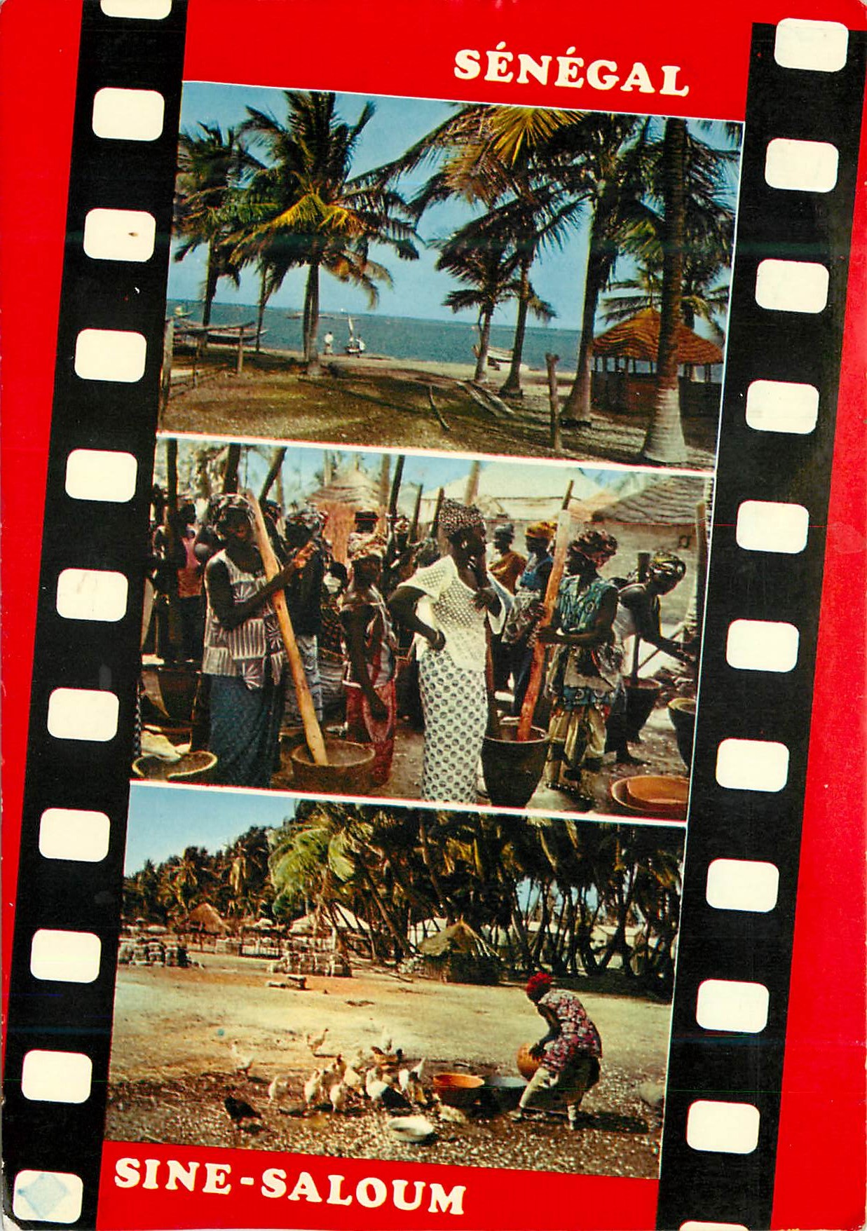 CPM Senegal Vue du Sine Saloum