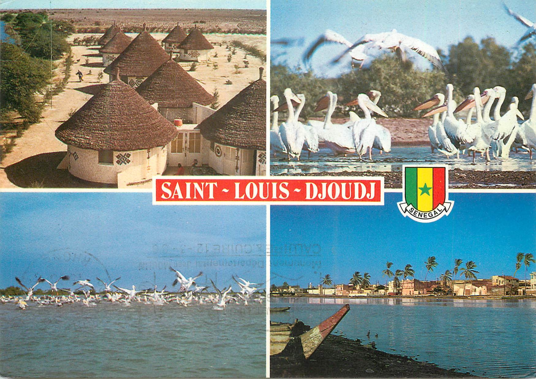 CPM Senegal Il de Saint-Louis et Parc de Djoud
