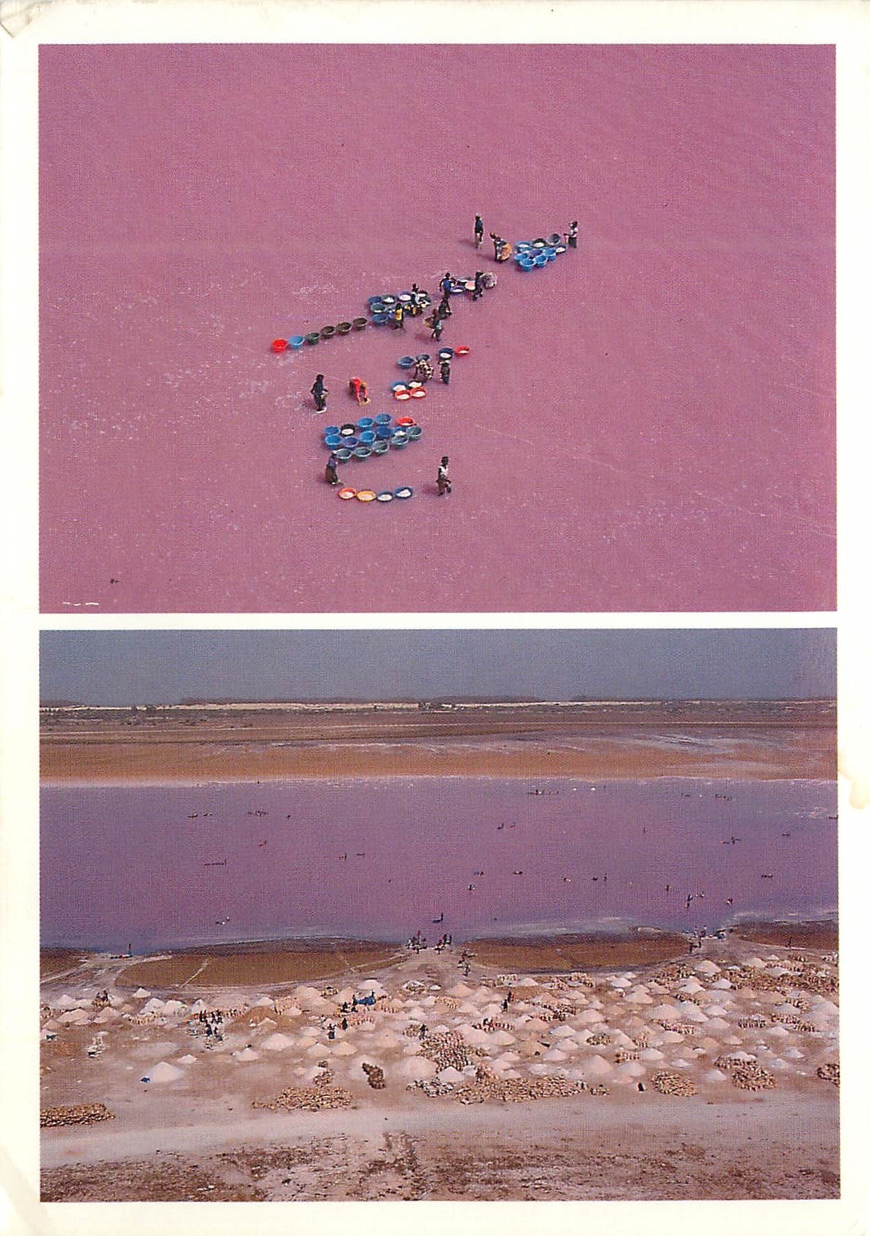 Moderne Ansichtskarte Senegal Pinker See Retba