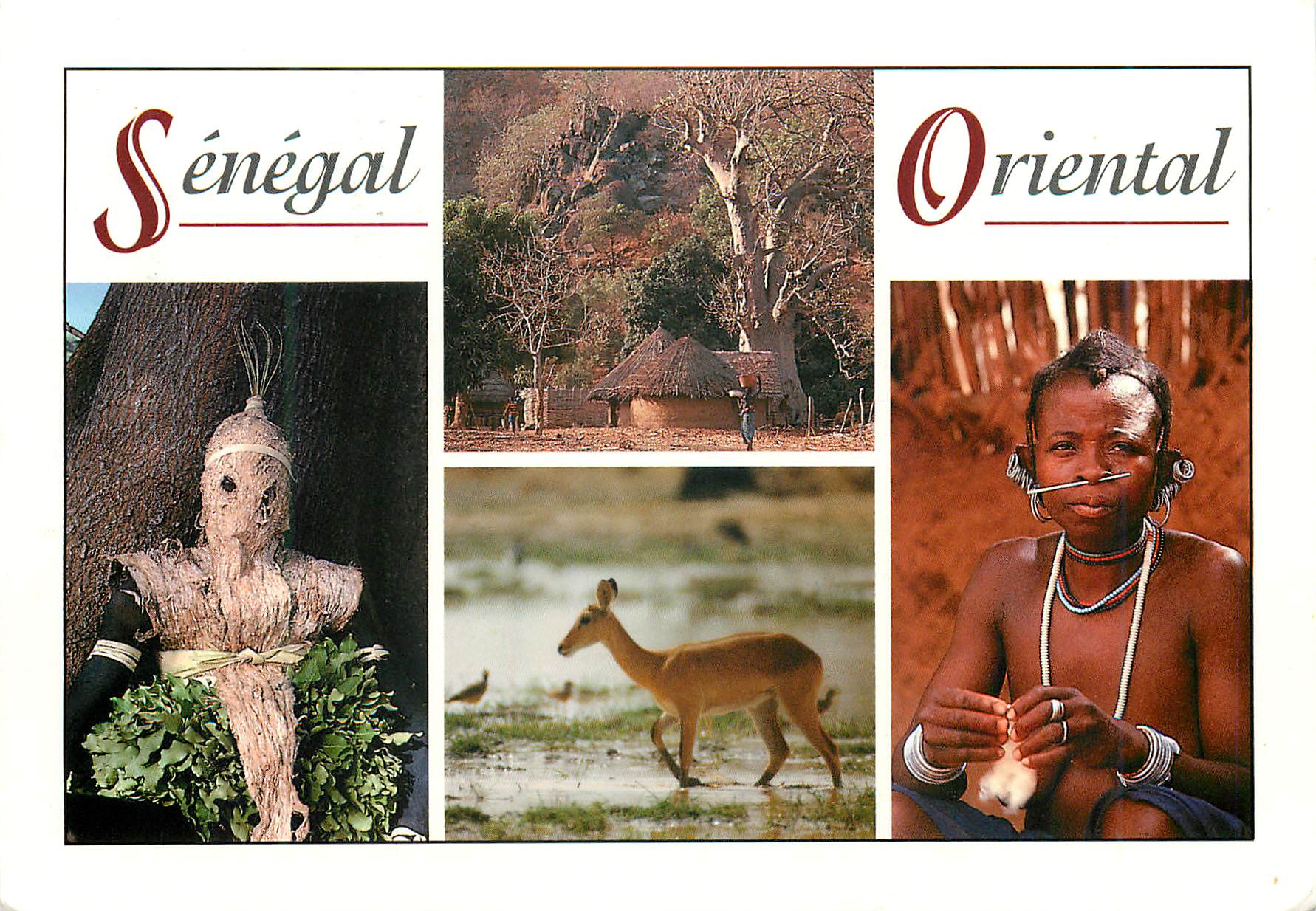CPM Senegal Femme Bedik Cob de Buffon