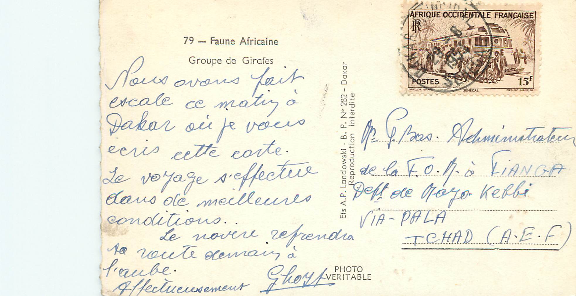 CPM Senegal Faune Africaine Groupe de Girafes — Verso