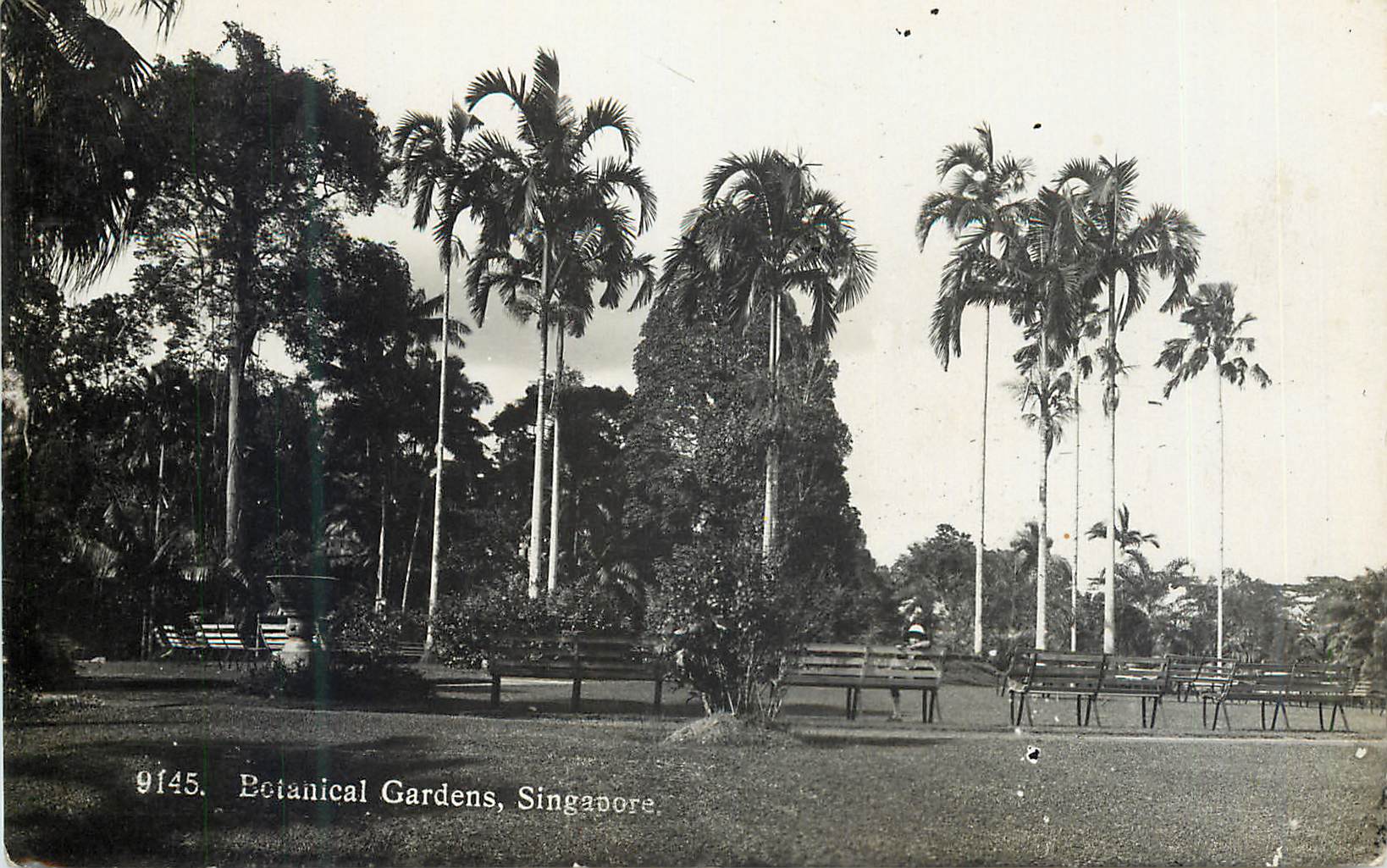 CPM Singapore Botanical Garden Singapore