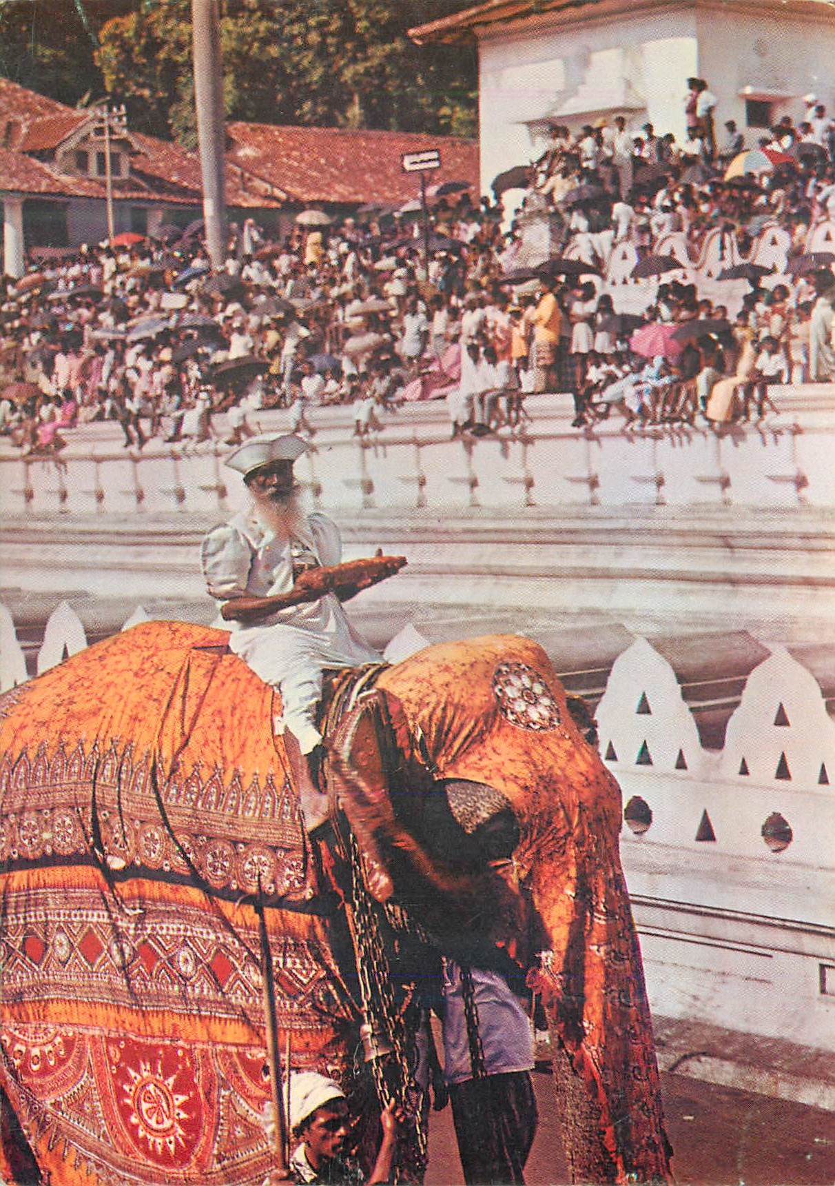 CPM Sri Lanka The Day Perahera Elephant