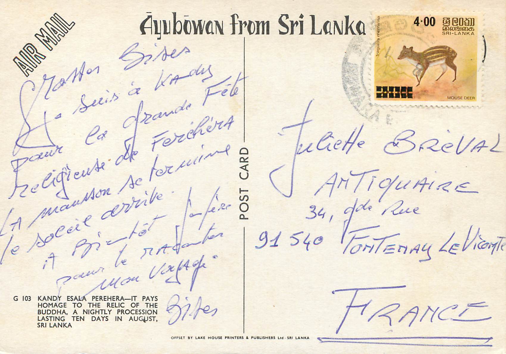 CPM Sri Lanka Kandy Esala Perehera Elephant — Verso