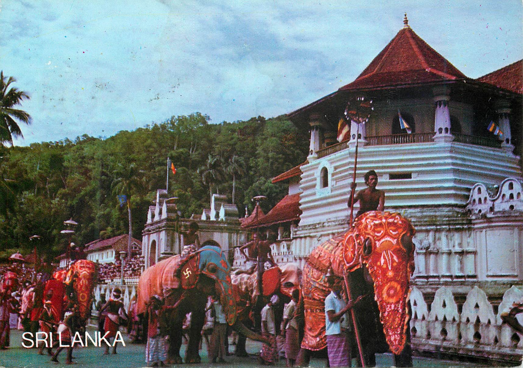 CPM Sri Lanka Elephants at Work