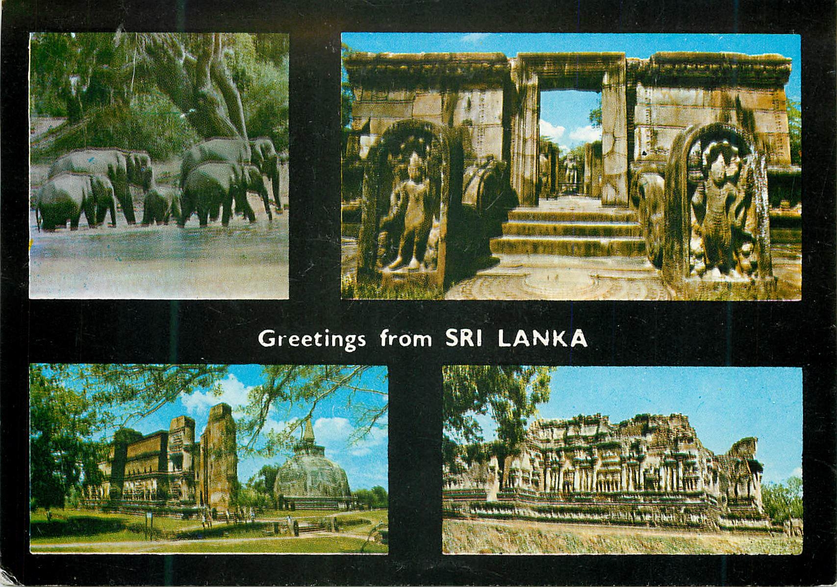 CPM Sri Lanka Spot Scenes of Polonnaruwa Elephants