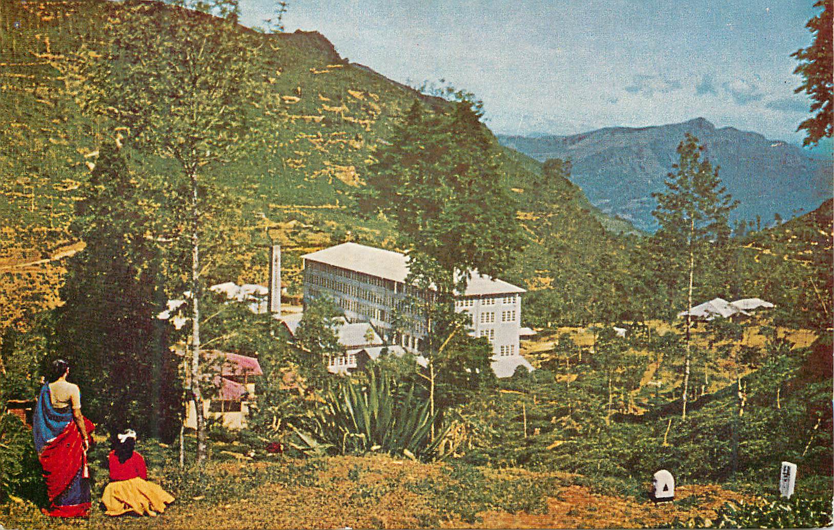 CPM Sri Lanka Tea Factory and Estate