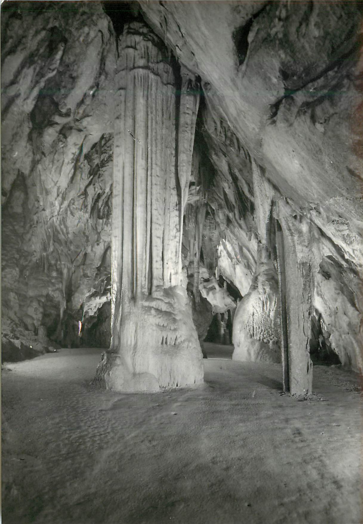 Postojna Höhle — Hauptmotiv — Verlag 'Postojnske jame', Postojna