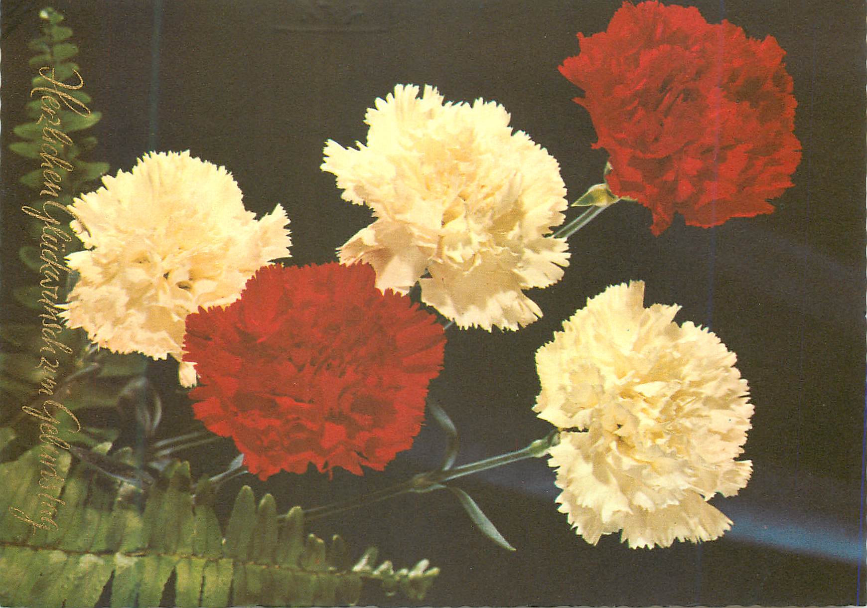 CPM Fleurs
