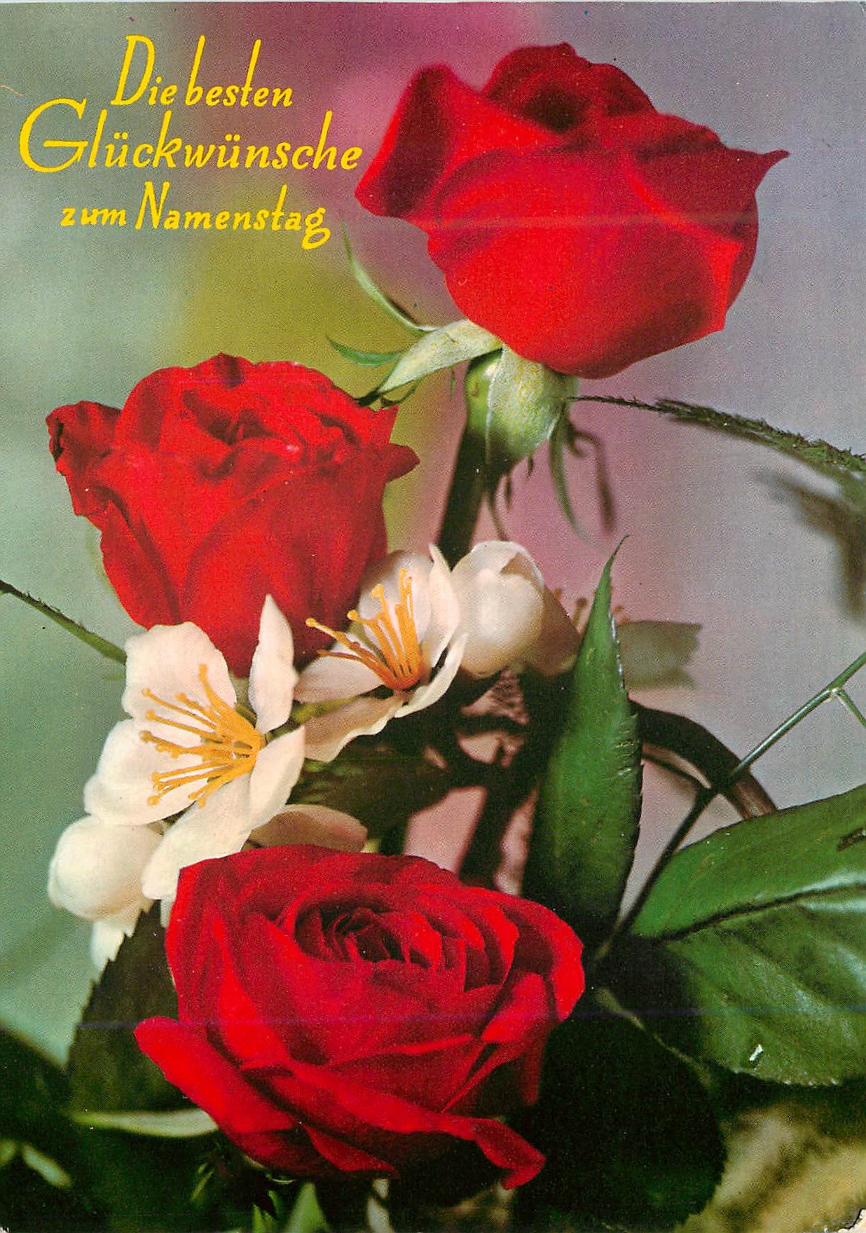 CPM Fleurs