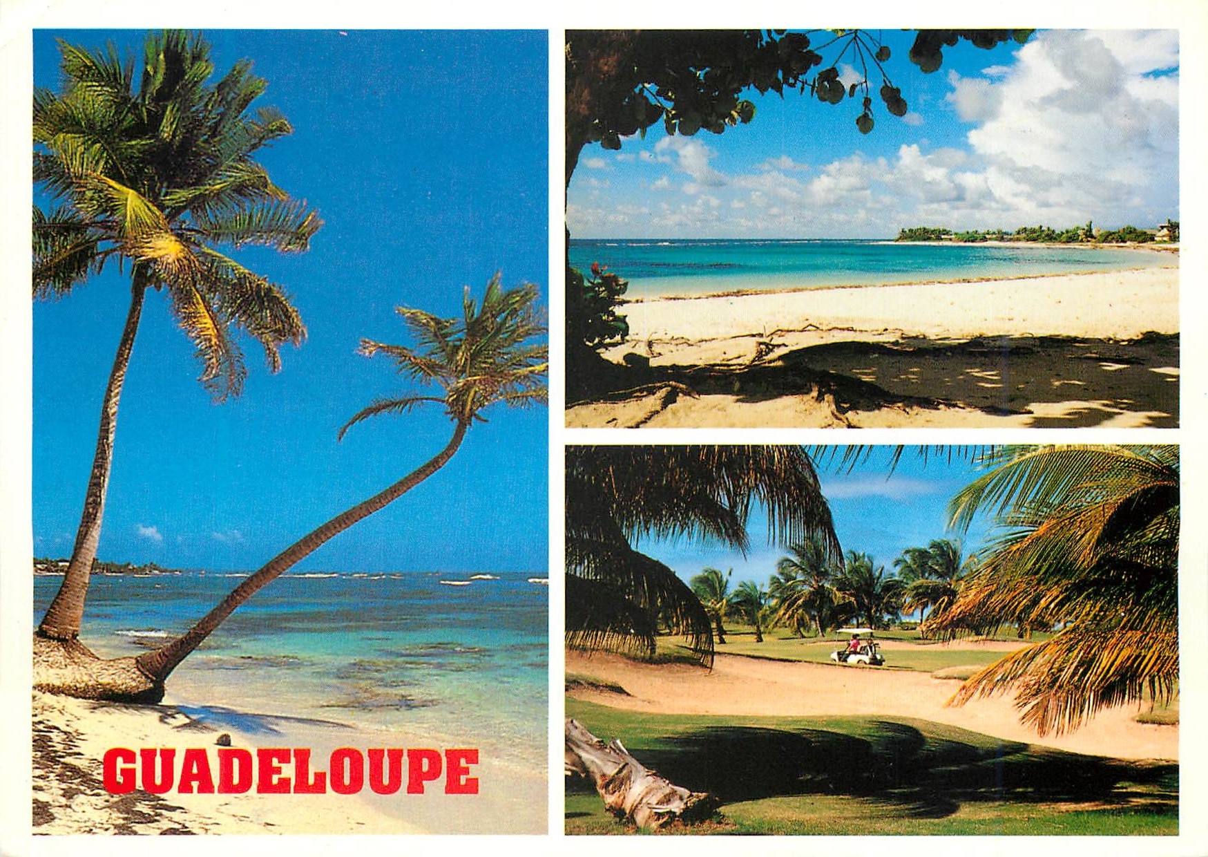 CPM Guadeloupe Plage St Francois Golf St Francois