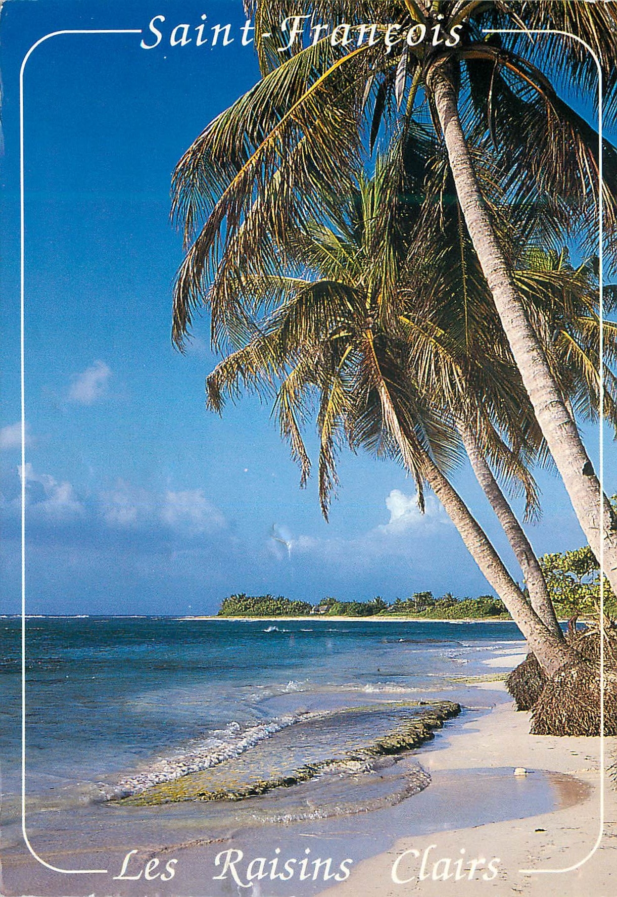 CPM Guadeloupe Saint-Francois Plage des Raisins Clairs