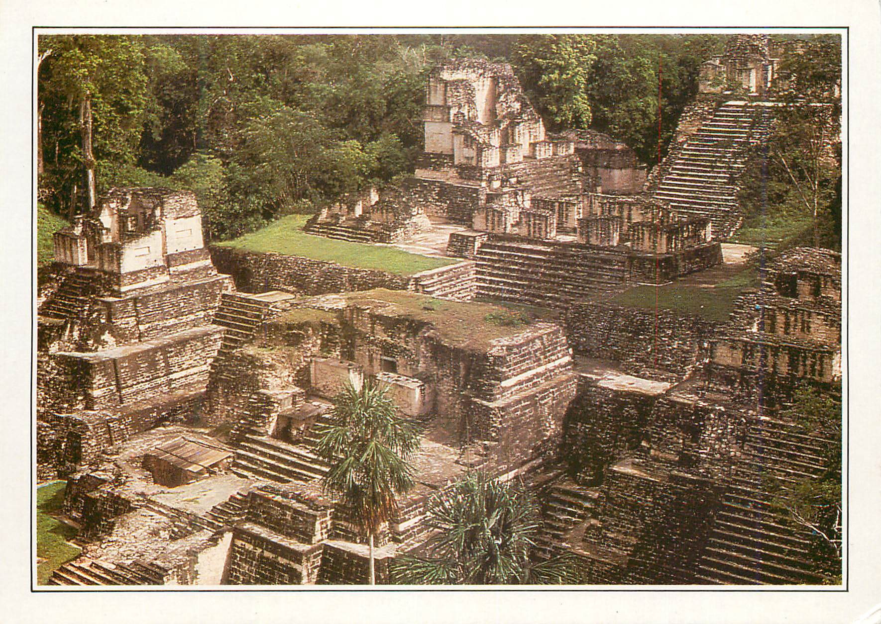 CPM Guatemala Tikal L'ancienne metropole maya