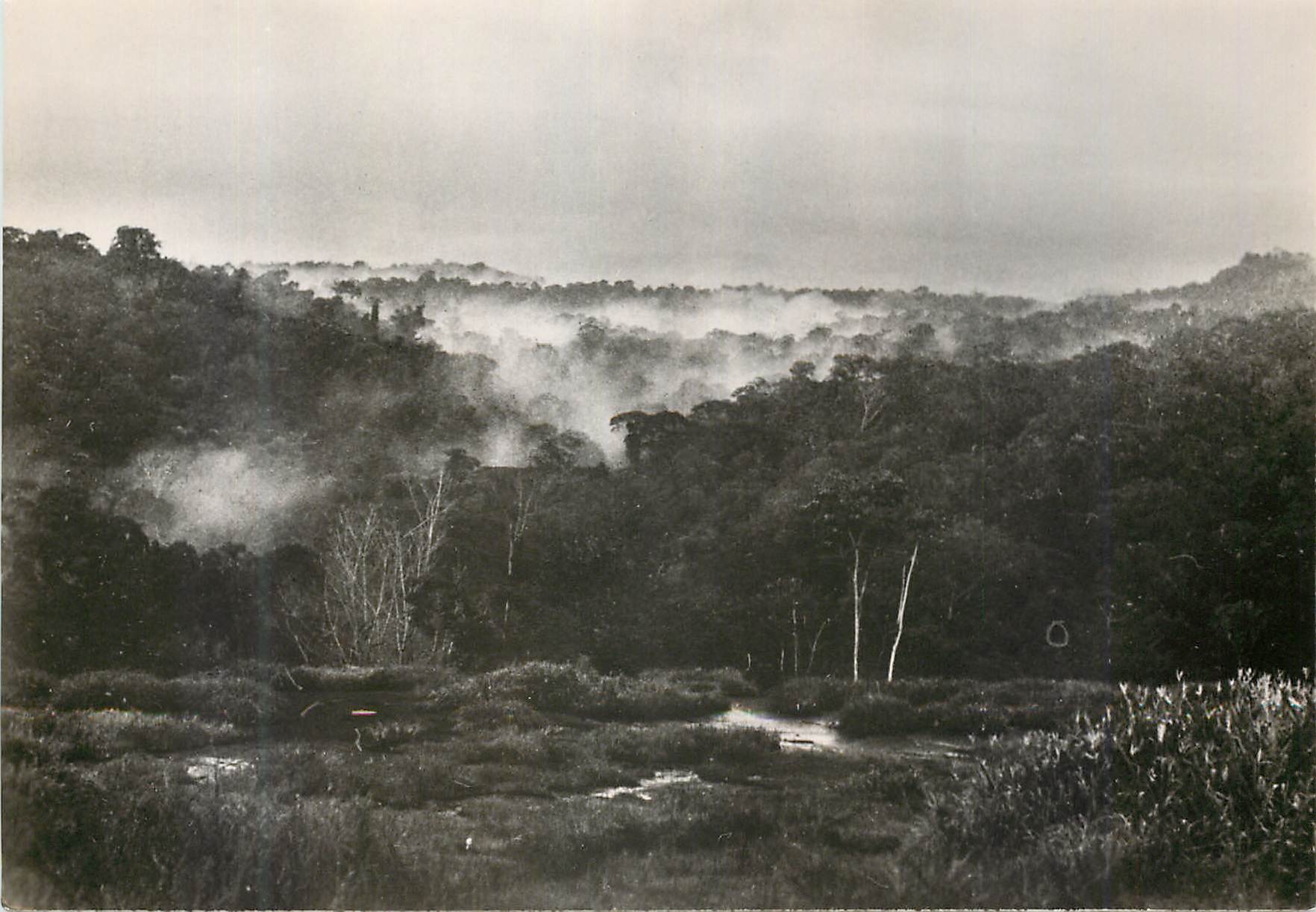 CPM Guyane Francaise Vue panoramique des Tumuc-Humac Expedition Guyane Tumuc Humac