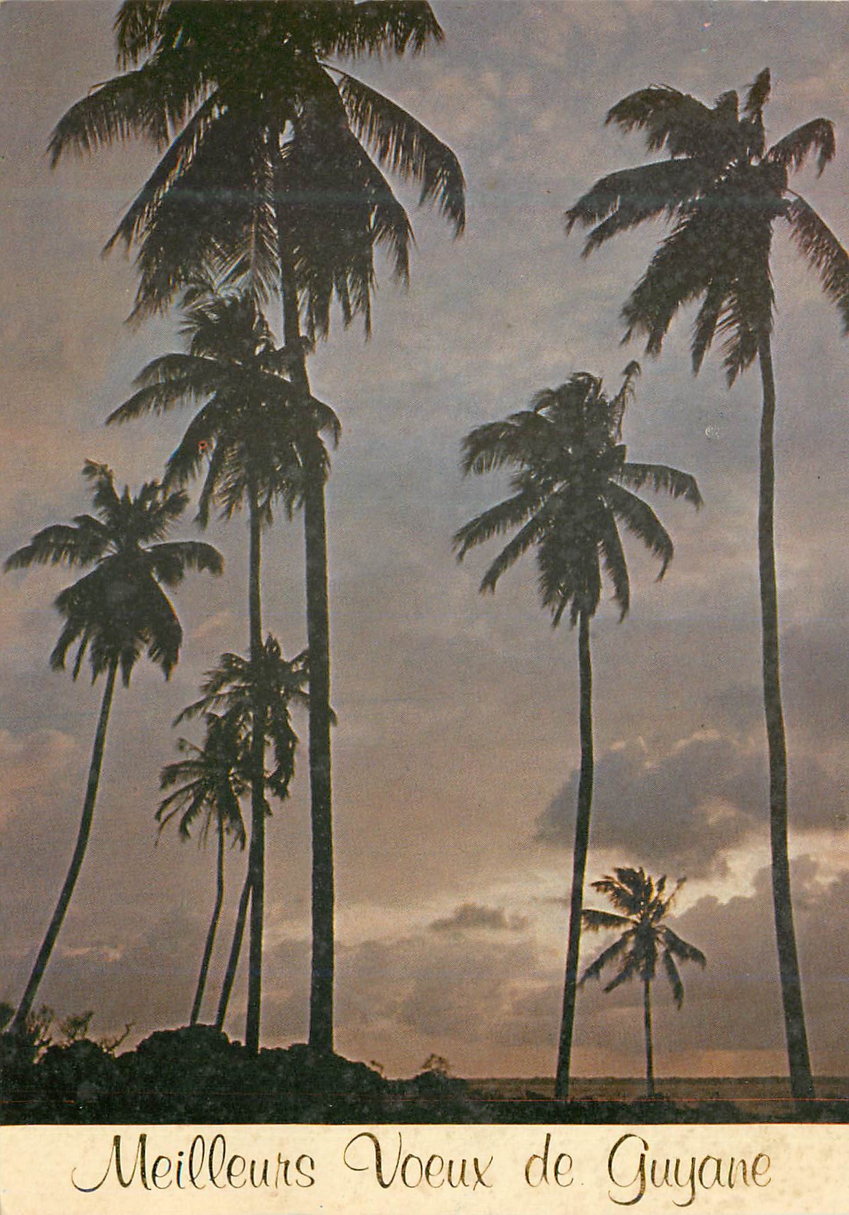 CPM Guyane Francaise Meilleurs Voeux de Guyane