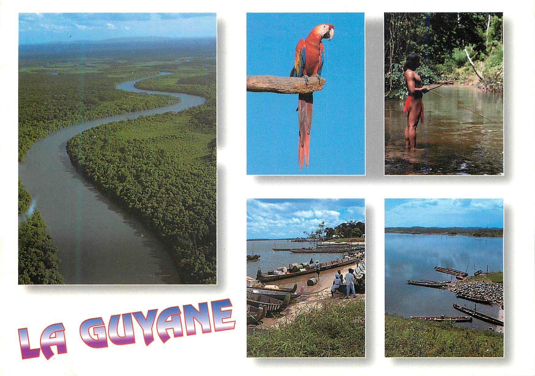 CPM Guyane Francaise Le Maroni Ara Indien Wayana Perroquet