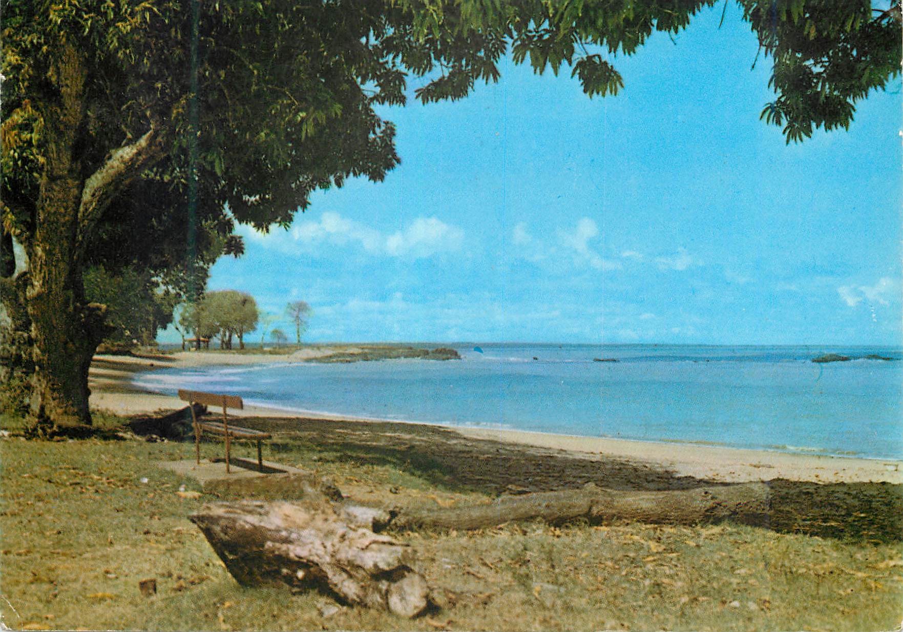CPM Guyane Francaise Cayenne La plage des Amandiers