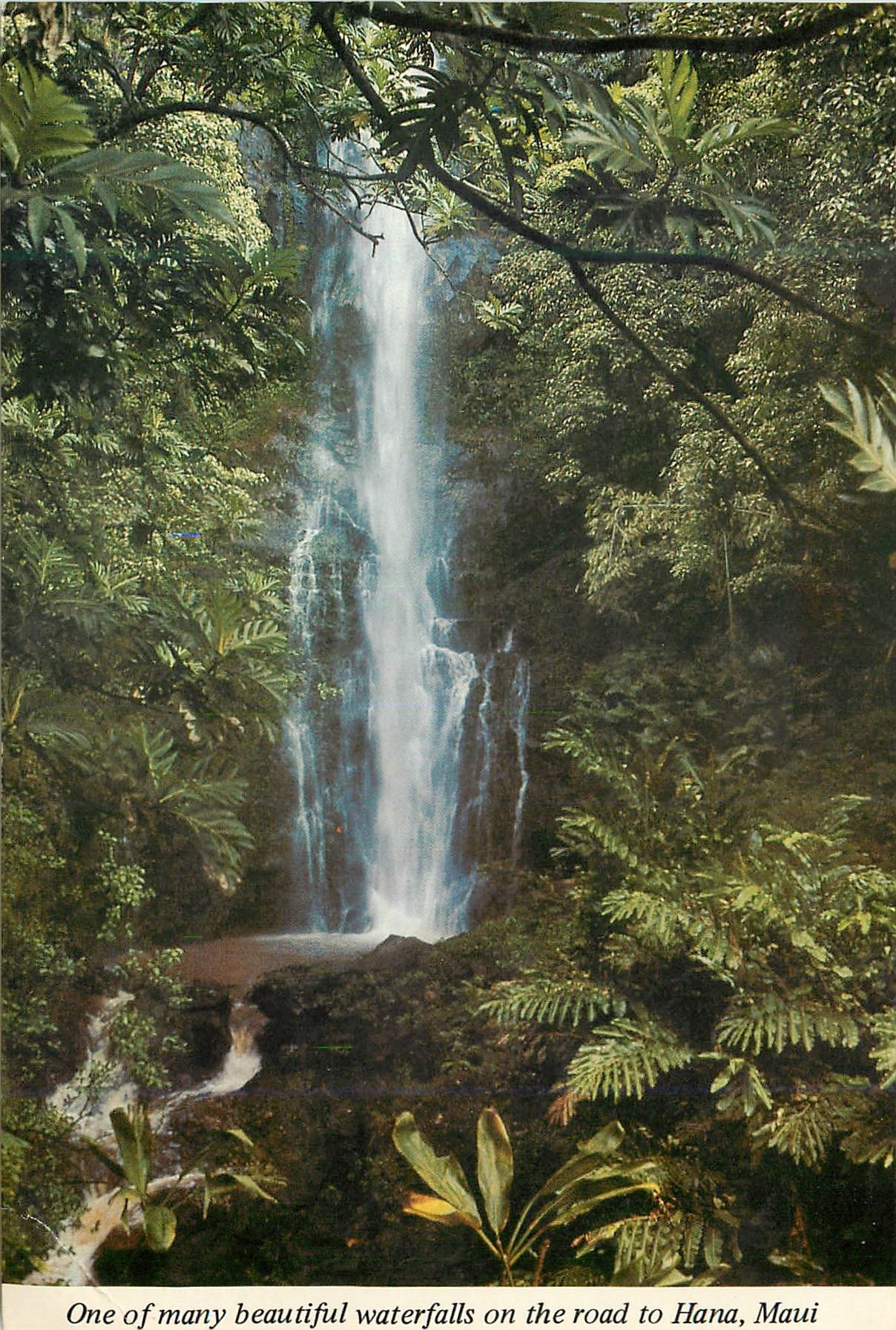 CPM Hawaii One of many beautiful waterfalls on the road to Hana Maui