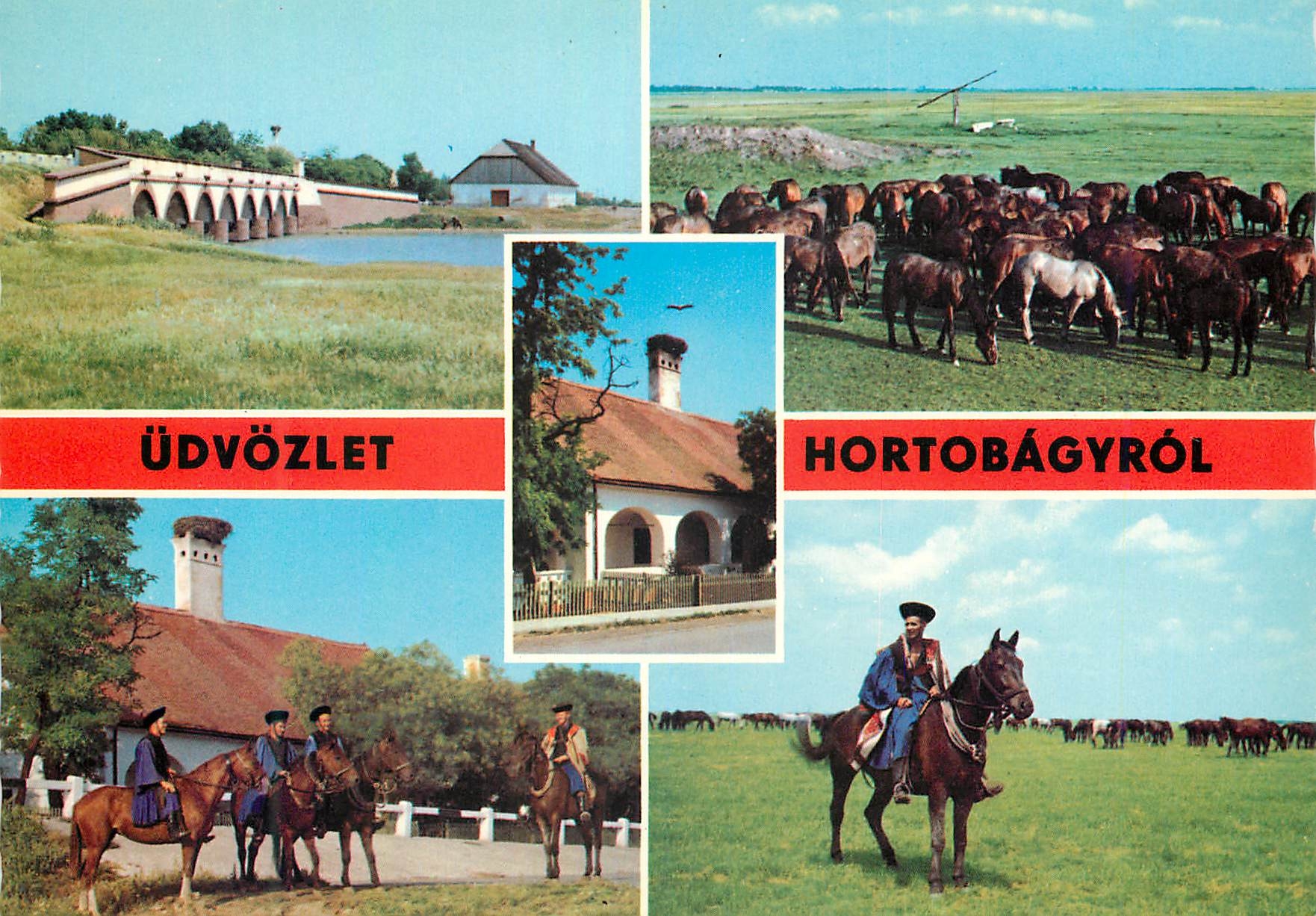 CPM Greetings from Horlobagy
