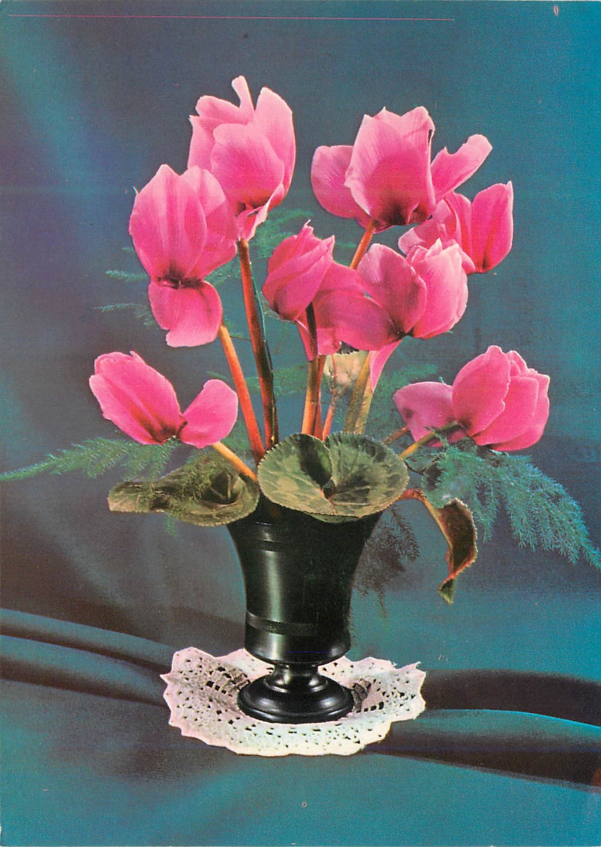 CPM Fleurs