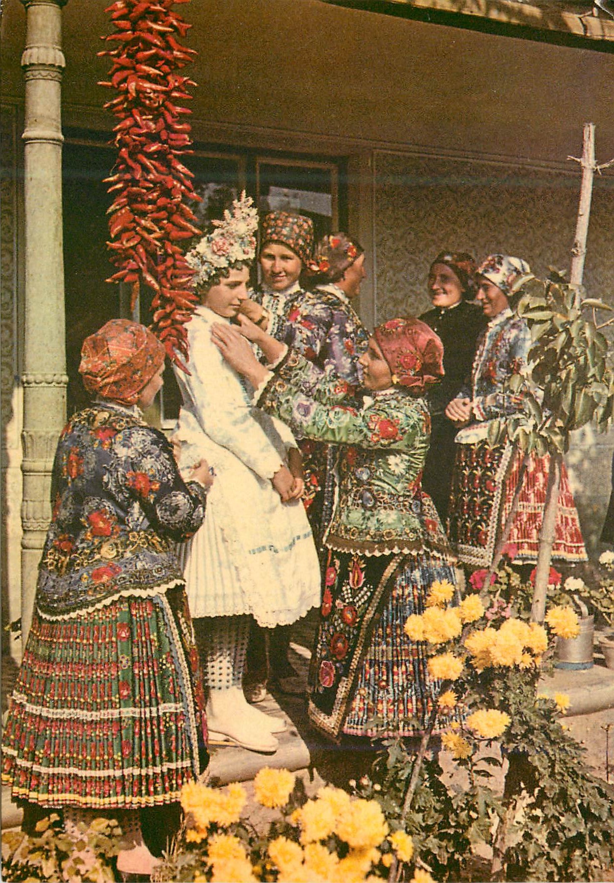 CPM Traditional costume of sloagard