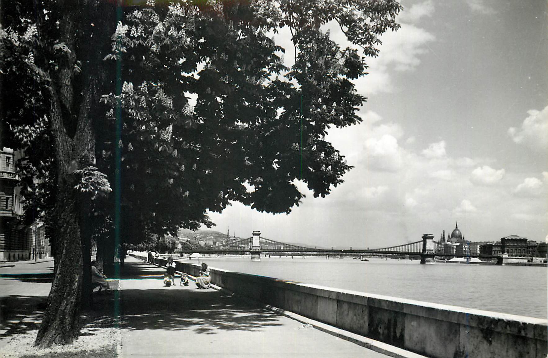 CPM Budapest partial viw of the riverside