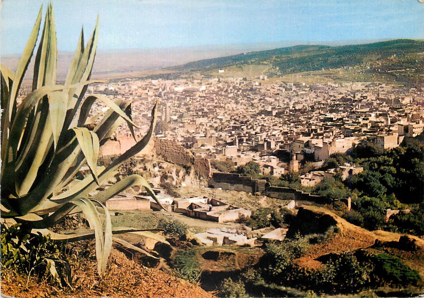 CPM Fes la ville vue des remparts
