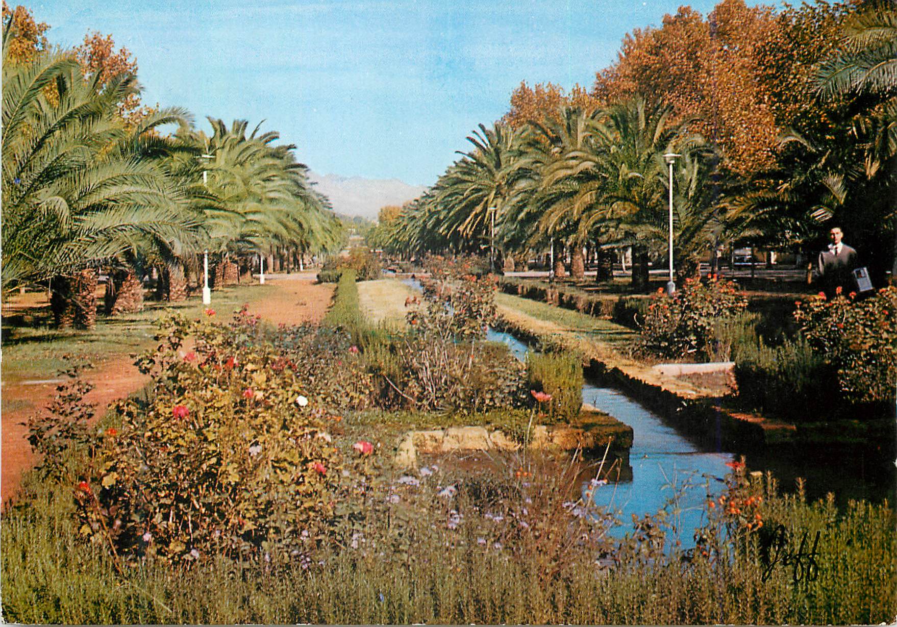CPM Fes avenues hassan II