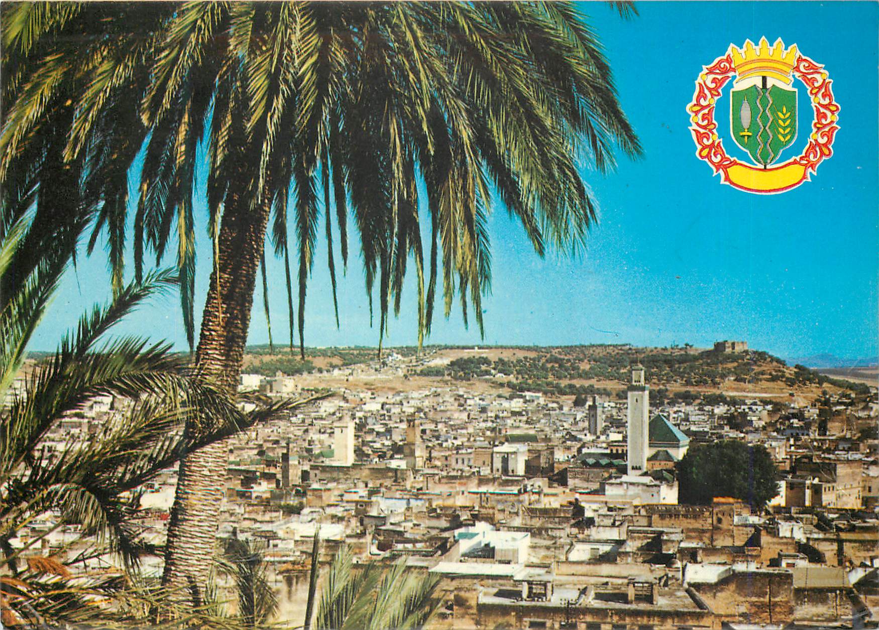 CPM Fes panorama de la ville ancienne