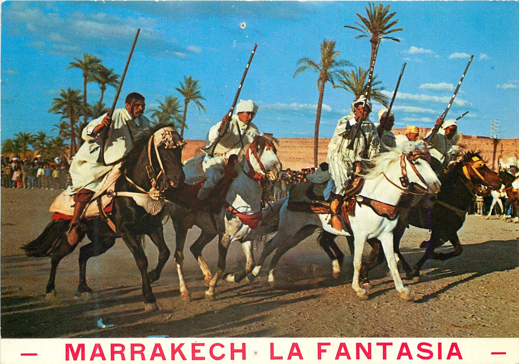 CPM Maroc pittoresque la fantasia Chevaux