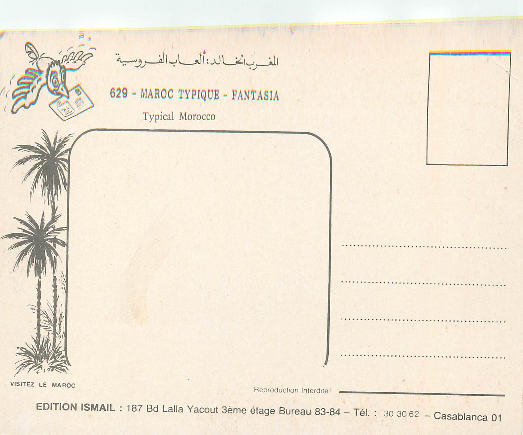 CPM Maroc typique fantasia typical morocco — Back