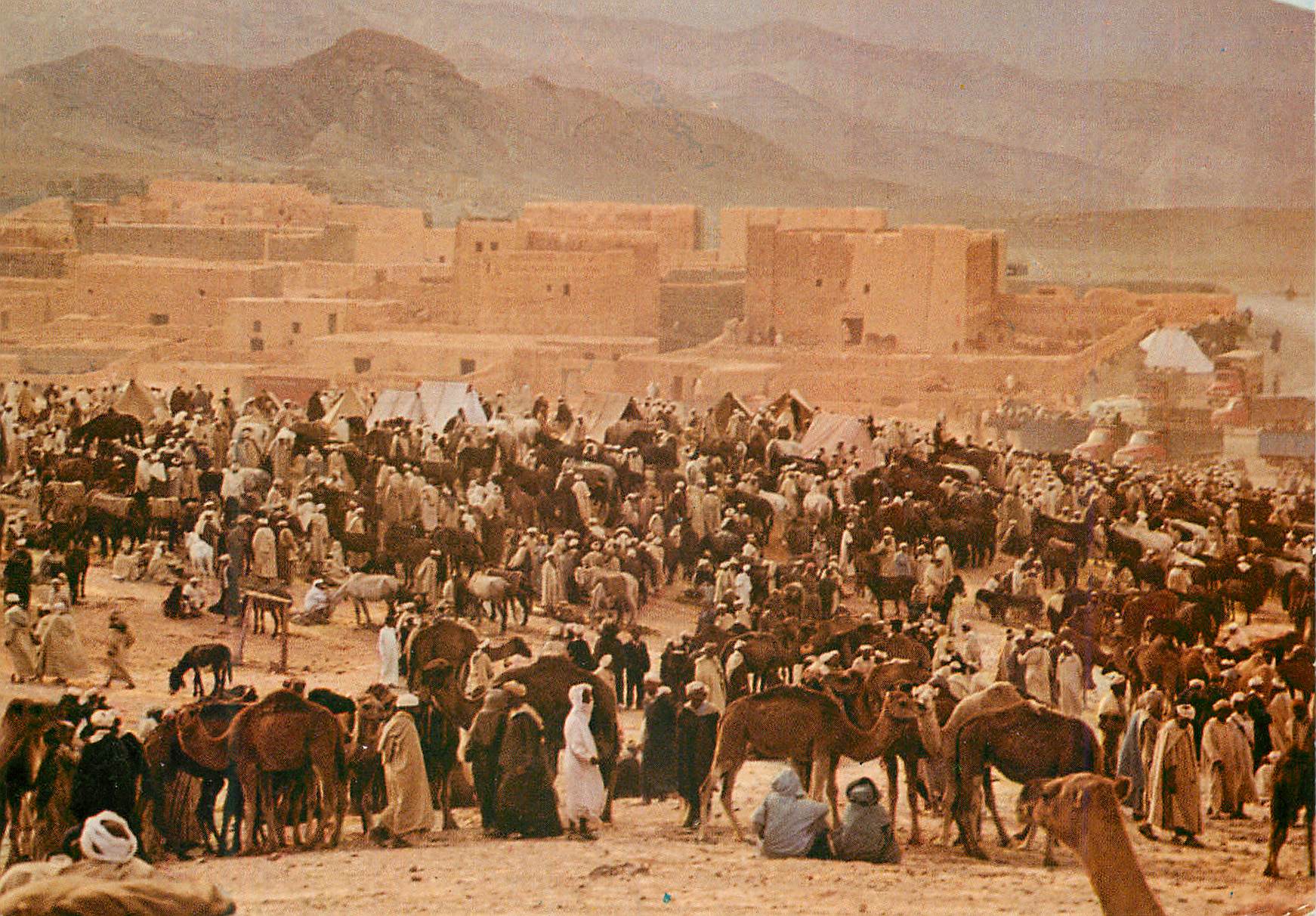 CPM Goulimine (Porte du sahara) marches des chameaux