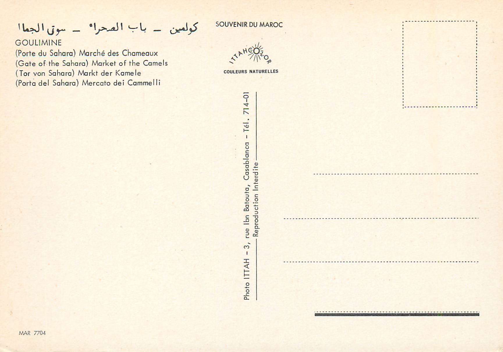 CPM Goulimine (Porte du sahara) marches des chameaux — Back