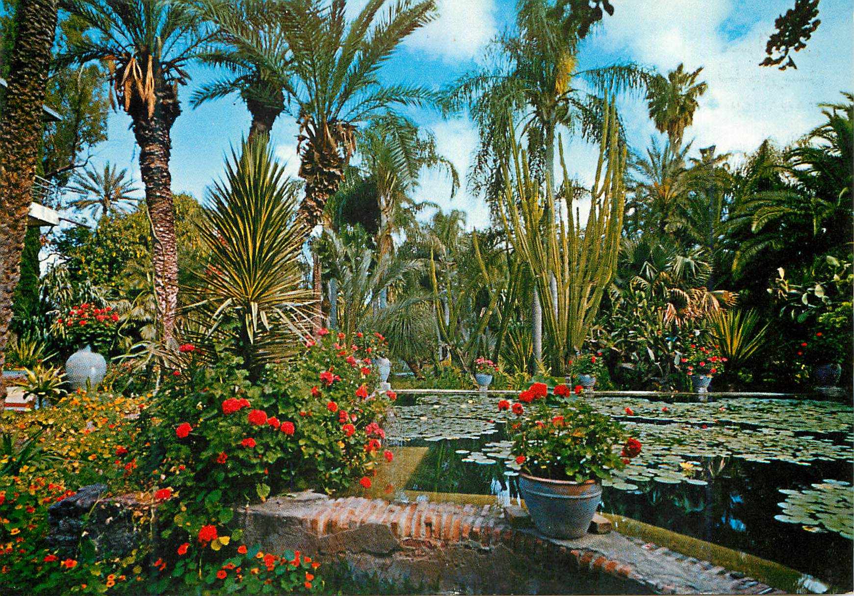 CPM Marrakech les jardins exotiques majorelle