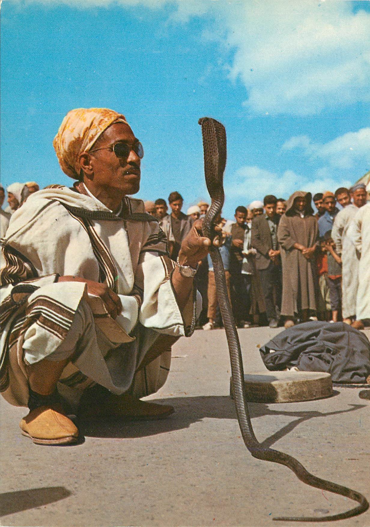 CPM Marrakech le maroc en lumicolor charmeur de serpents
