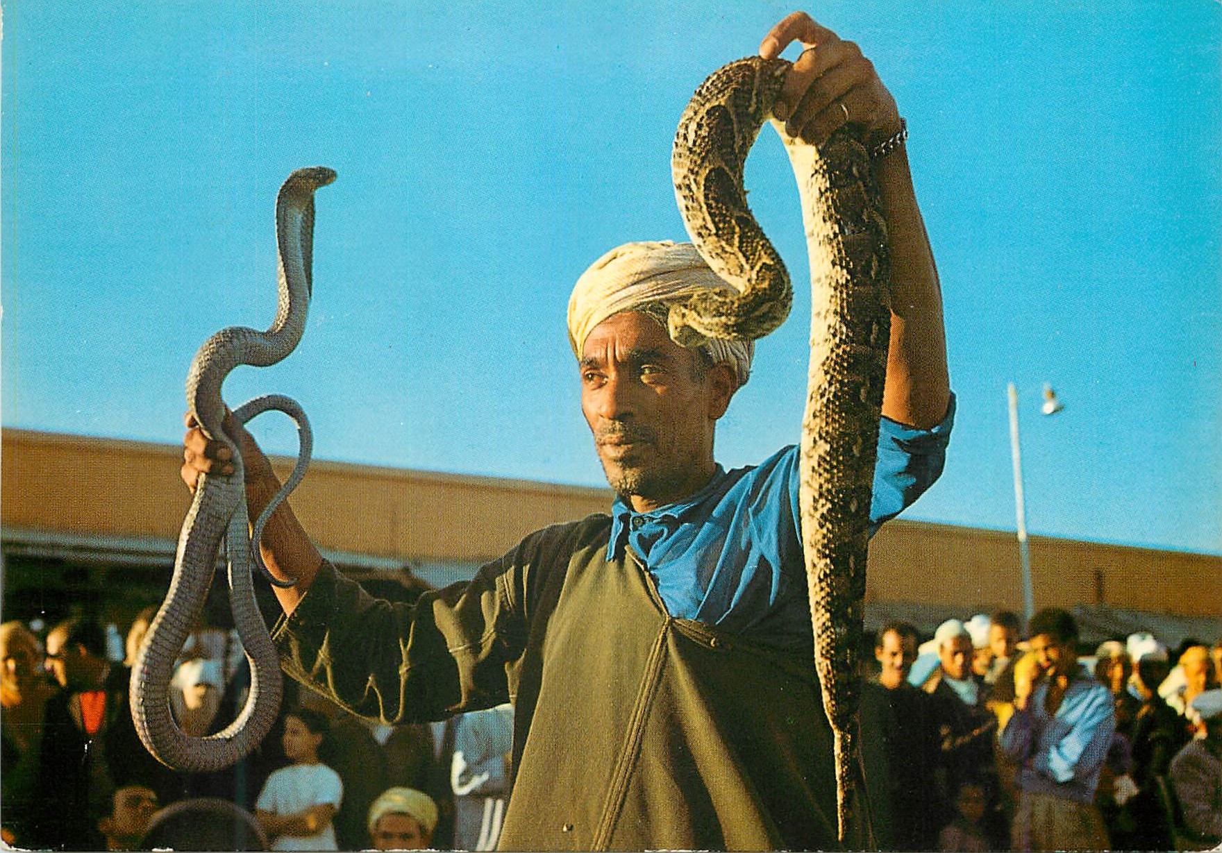 CPM Marrakech charmeur de serpents a place djemaa el fna