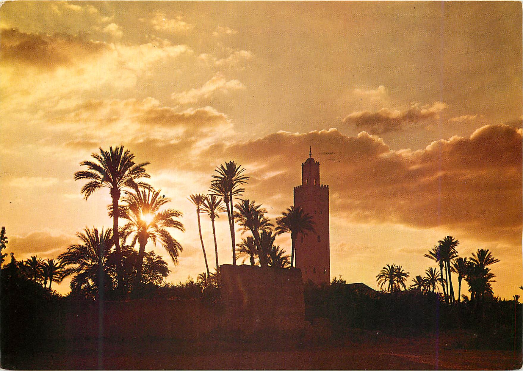 CPM Marrakech mosquee hassan II et palmeraie au coucher de soleil