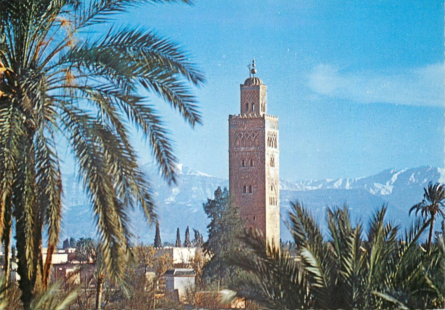 CPM Marrakech le maroc pittoresque panorama avec koutoubia