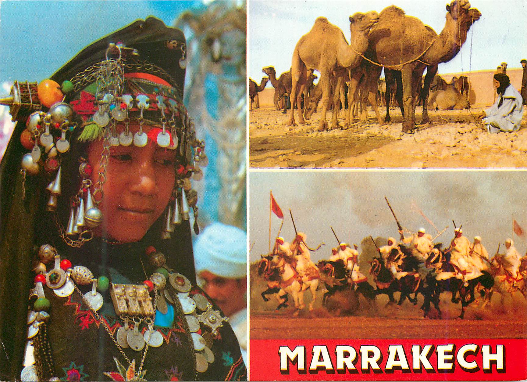 CPM Maroc typique femme du sud les chameaux la fantazia