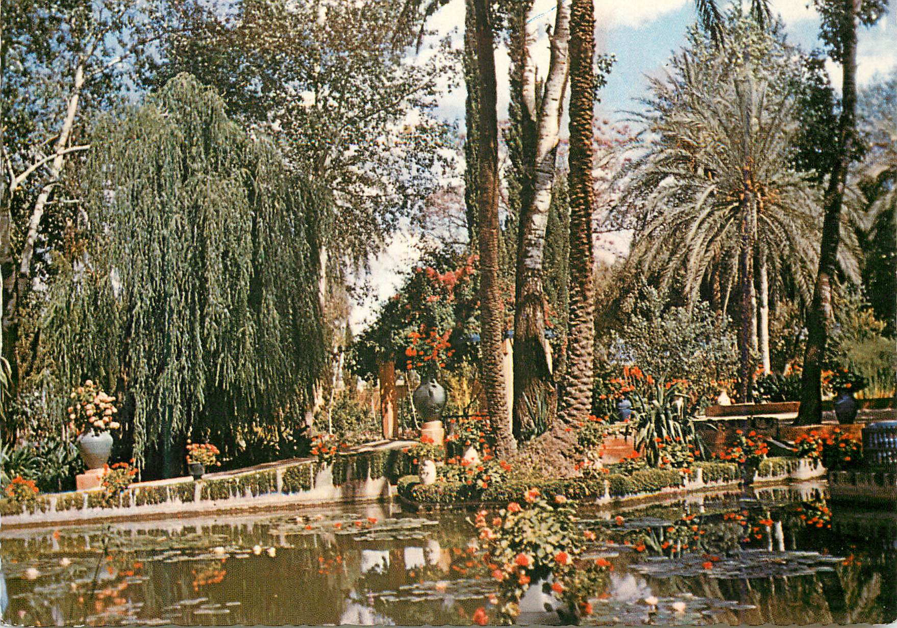 CPM Marrakech Jardin exotique du peintre Majorelle