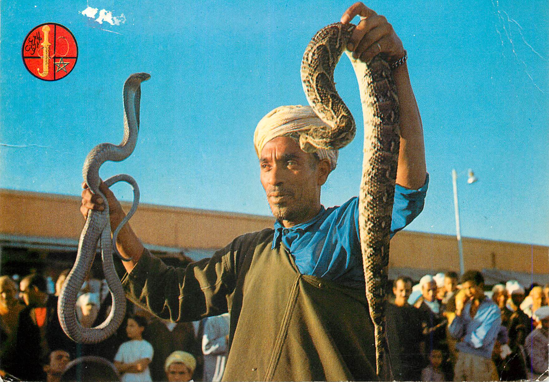 CPM Marrakech Charmeur de serpents a Place Djemaa El Fna