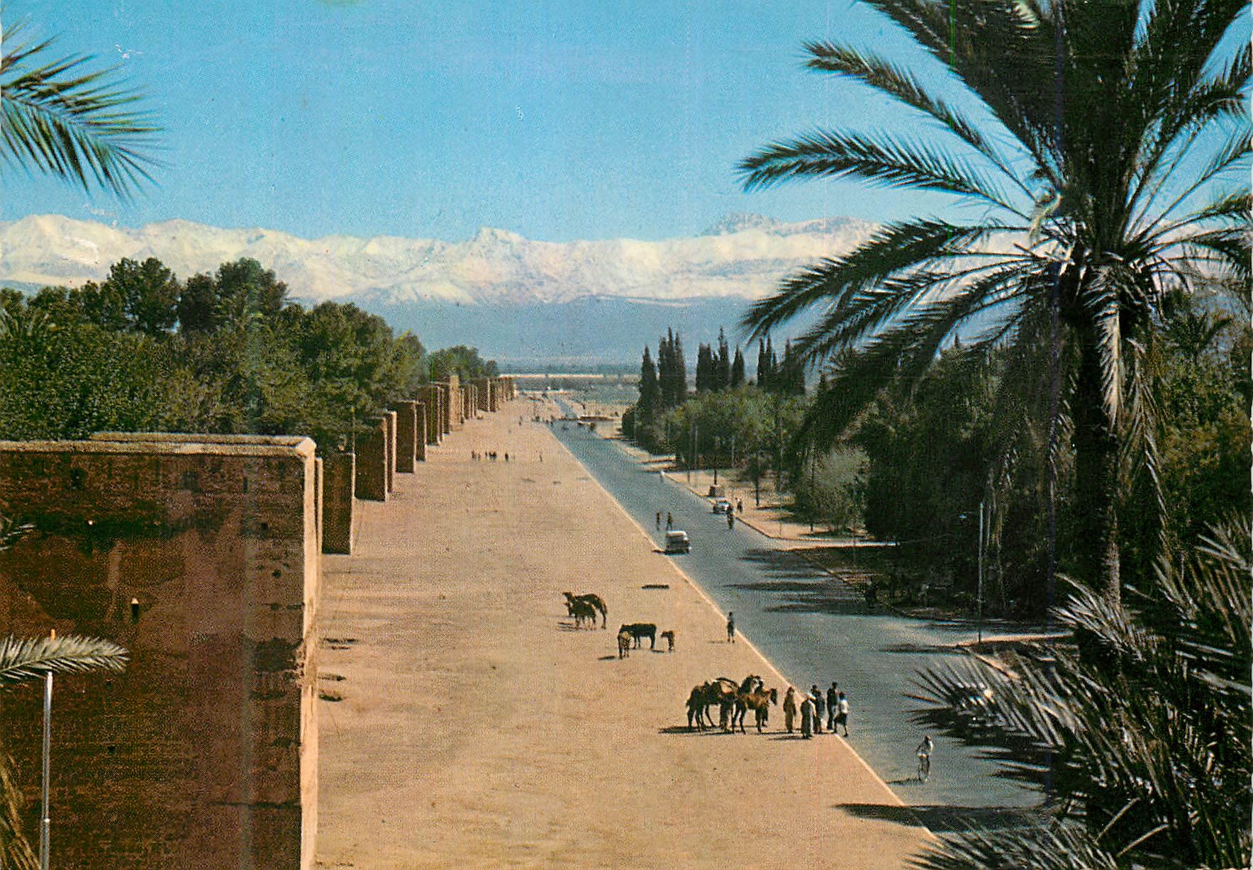 CPM Marrakech Les remparts et le grand Atlas