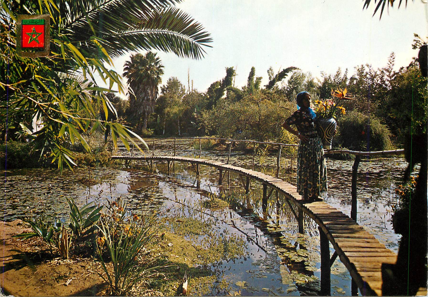 CPM Rabat Jardins Exotiques M Francoi
