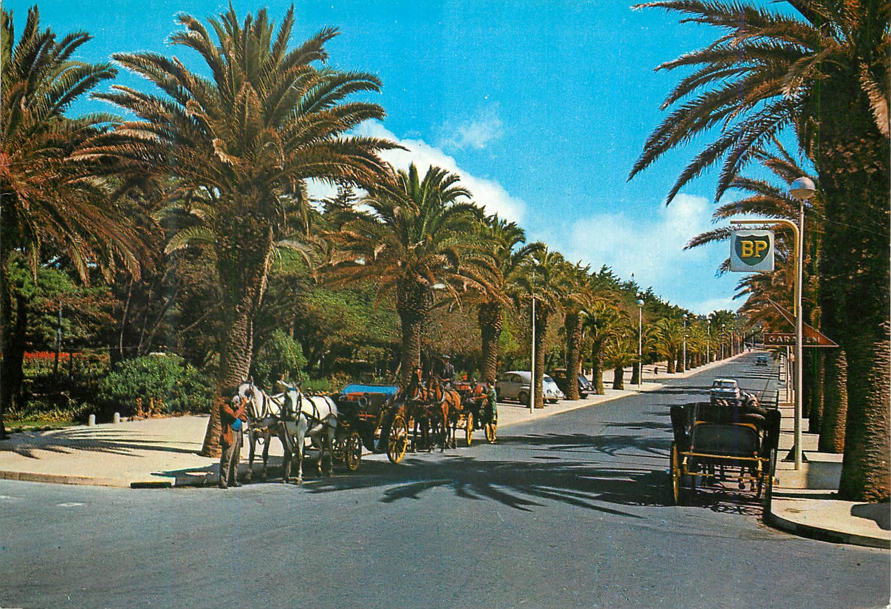 CPM Portugal Estoril Parque de Estoril