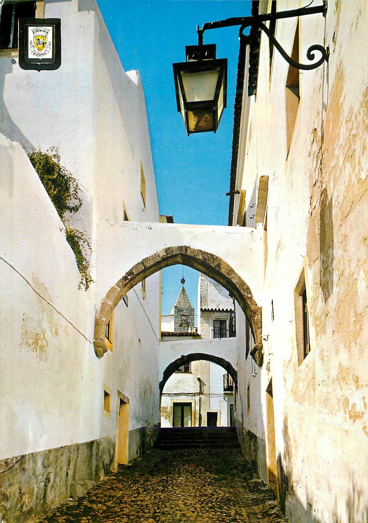 CPM Portugal Evora Le Passage de la Masque Rue typique