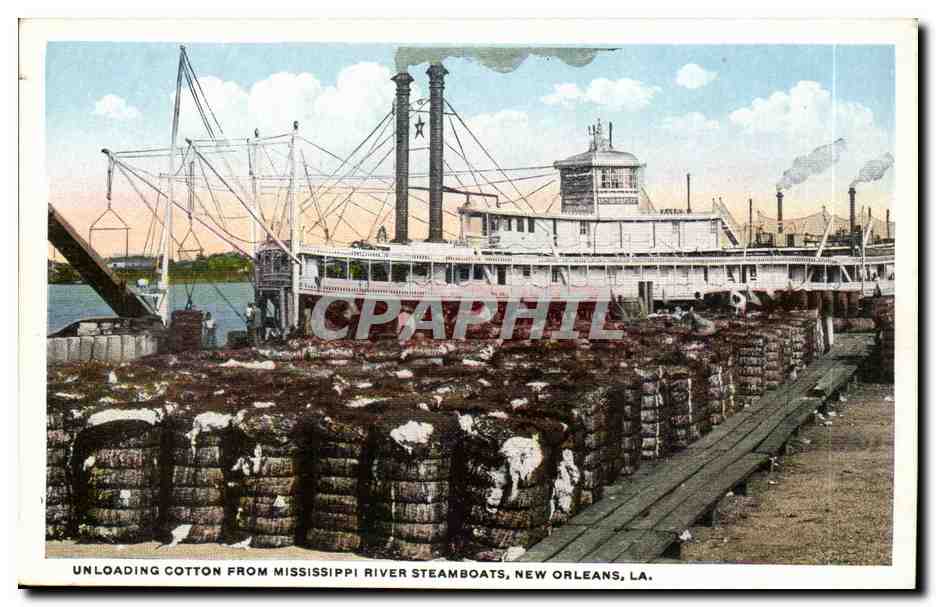 CPA Bateau Ship Unloading cotton from Mississippi River Steamboats New Orleans LA