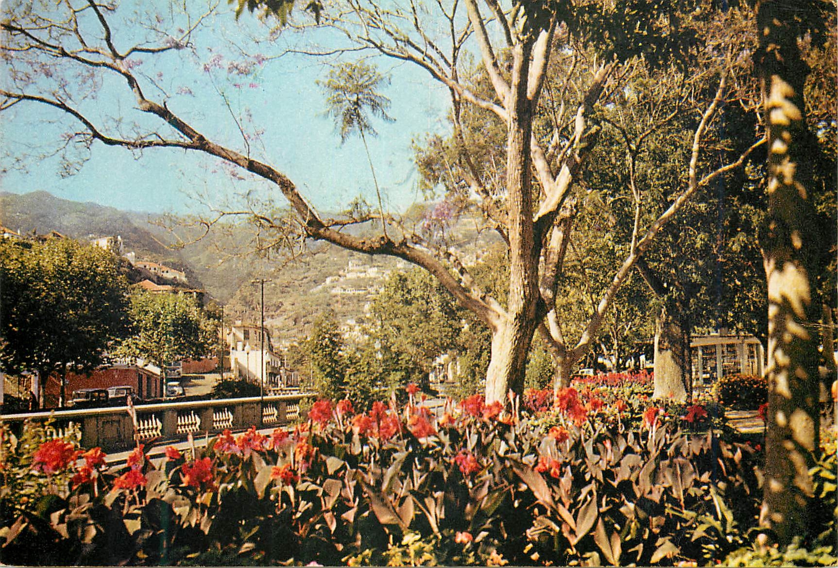 CPM Madeira 73 jardins da praca de tenerife funchal
