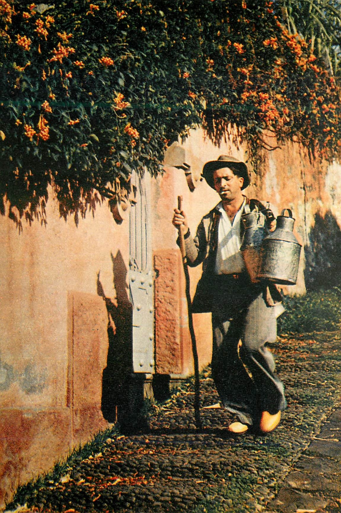 CPM Milkman on his rounds funchal madeira